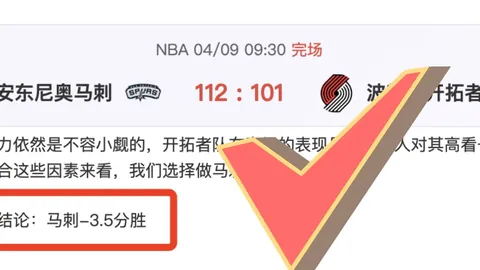 大乐透期号专家推荐：NBA附加赛魔术VS黄蜂让分分析